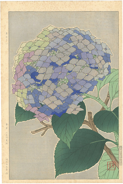 河原崎晃洞「あぢさい」 | 山田書店美術部オンラインストア