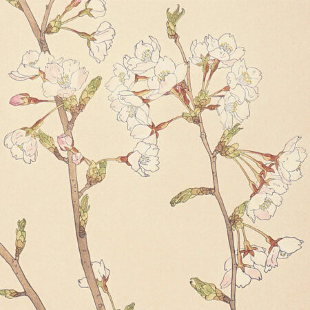 詩集 故園の歌」田中冬二著 前川千帆挿画 | 山田書店美術部オンライン