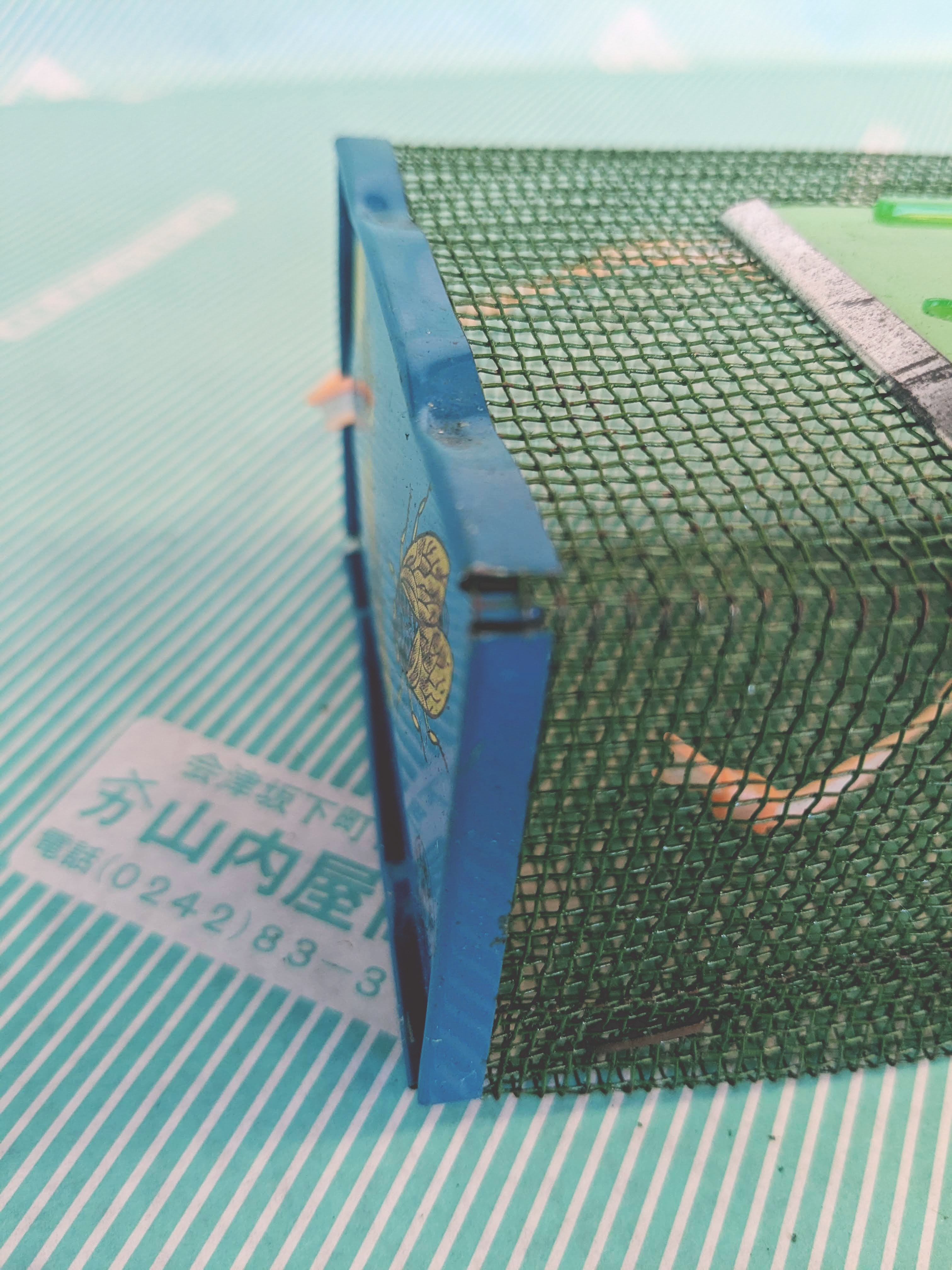 虫カゴ】金網 昆虫採集用 虫籠 蛍かご 蛍籠 / 会津 山内屋商店