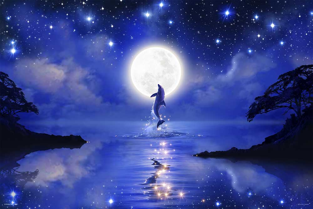 ドリーミングナイト / ジグソーパズルやのまん通信販売