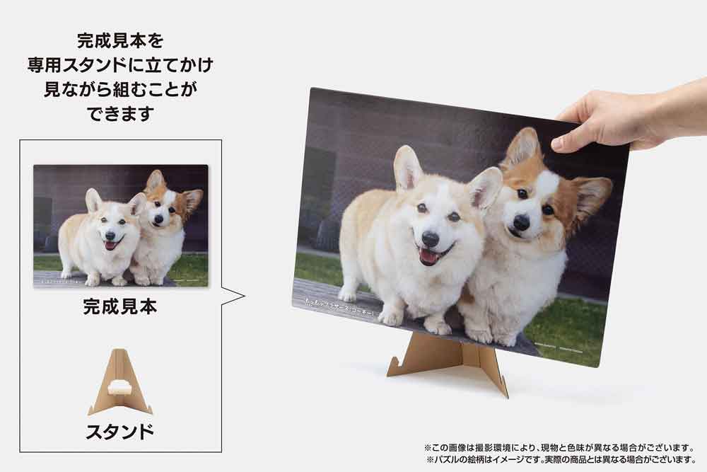 いきいきパズル バラ満開の一本木公園（長野）【通販限定