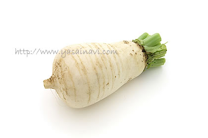 だいこん ダイコン 大根