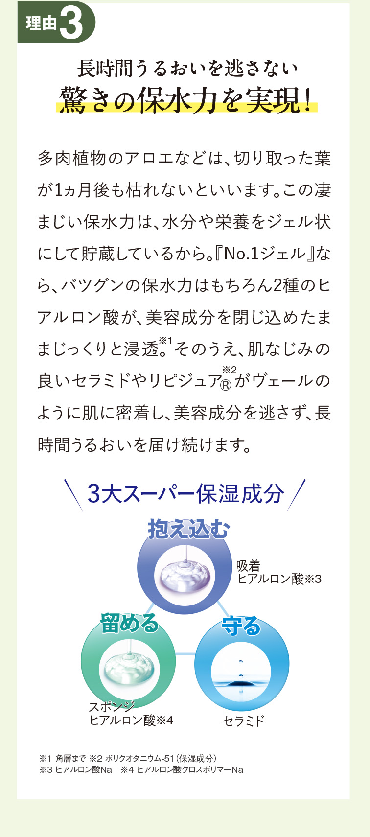 茶澄 No.1ジェル ゆうか【公式】オンラインストア｜茶澄（ちゃすみ