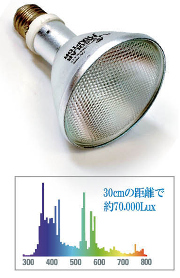 ソーラーラプター｜ゼンスイ株式会社