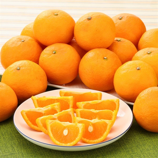 南津海（なつみ） 4月中旬発送開始 | 全農食品オンラインショップ