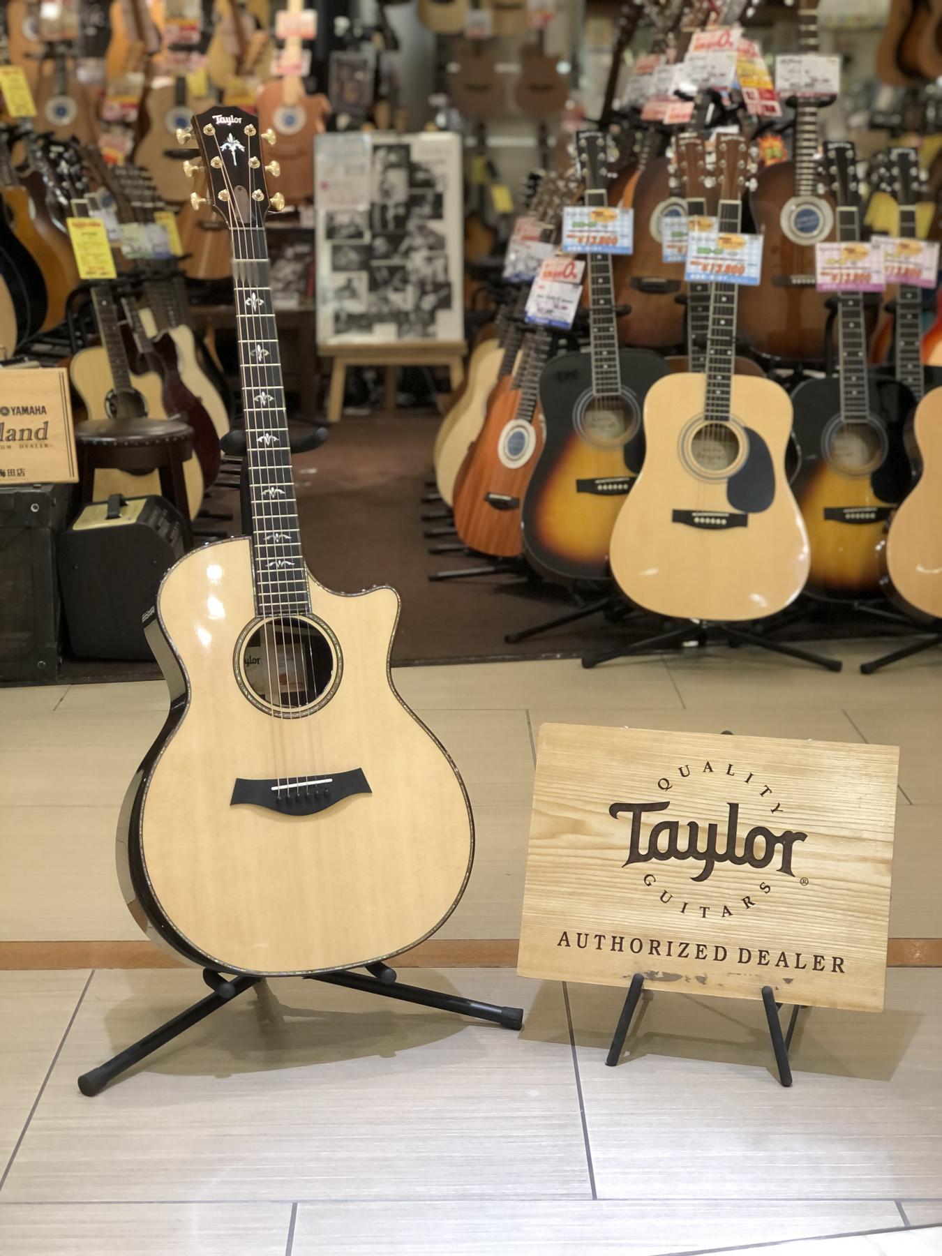Taylor 914ceがｷﾀ━━━━(ﾟ∀ﾟ)━━━━!! | イシバシ楽器スタッフブログ