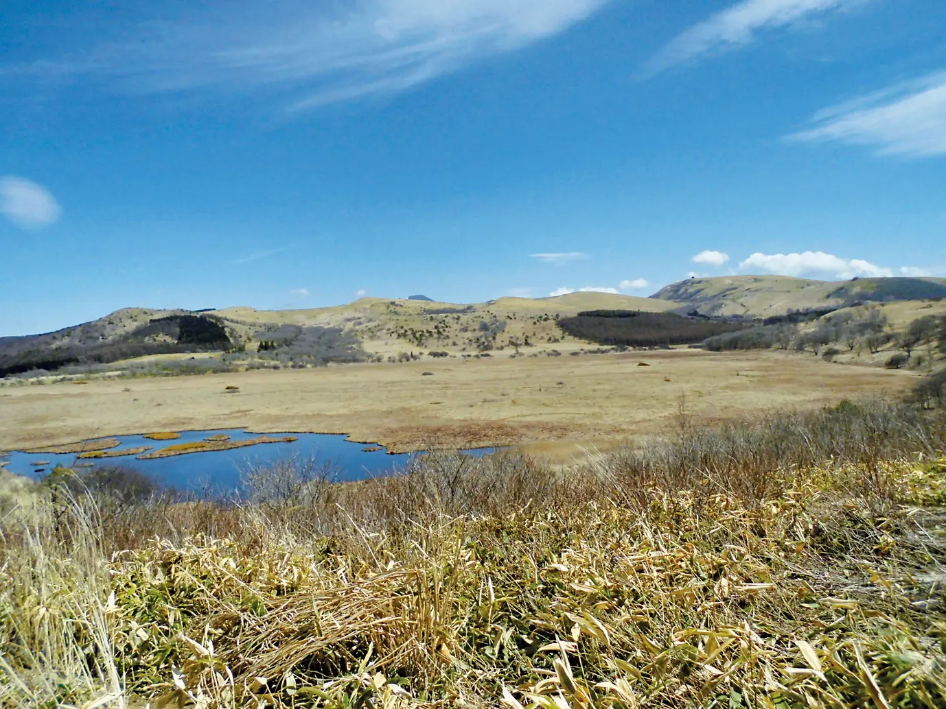車山から八島ヶ原湿原へ】の登山コースガイド情報 | 山と高原地図Web