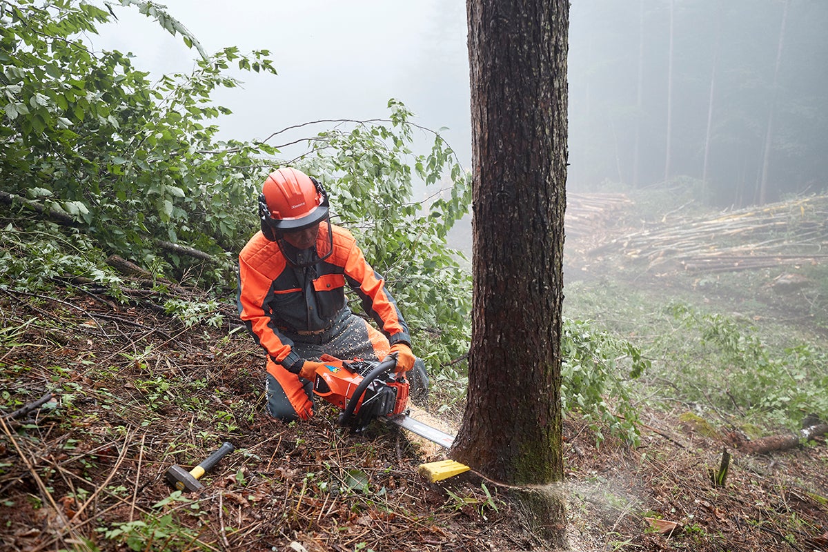 駆け上がれ、日本の底力 | 共立【公式】