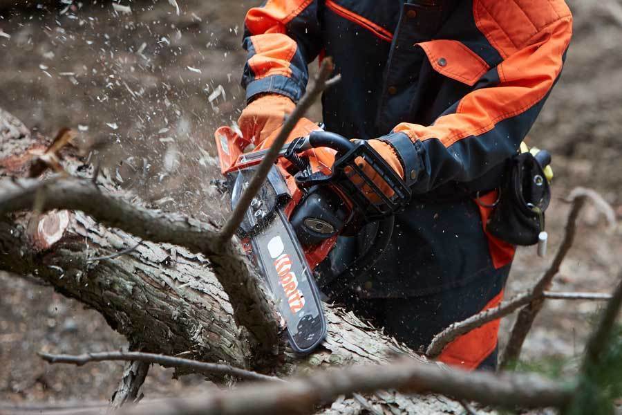 山の王へ。～ KING of THE MOUNTAIN ～ | 共立【公式】