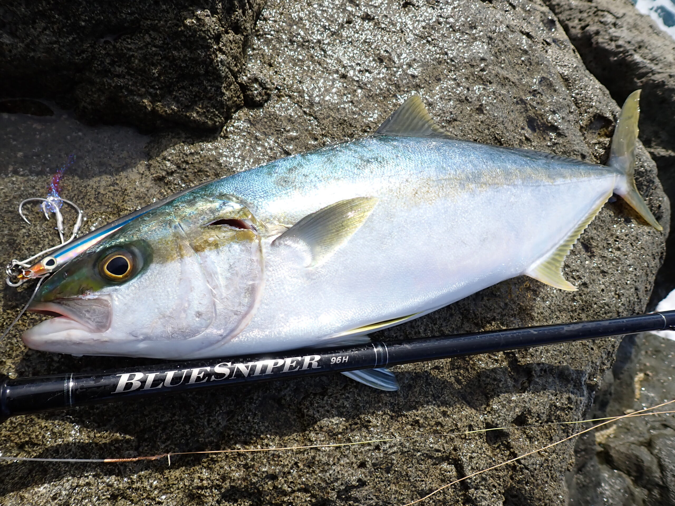 BlueSniper 96H × パワーと汎用性能の共存【FSレポート】 | YAMAGA