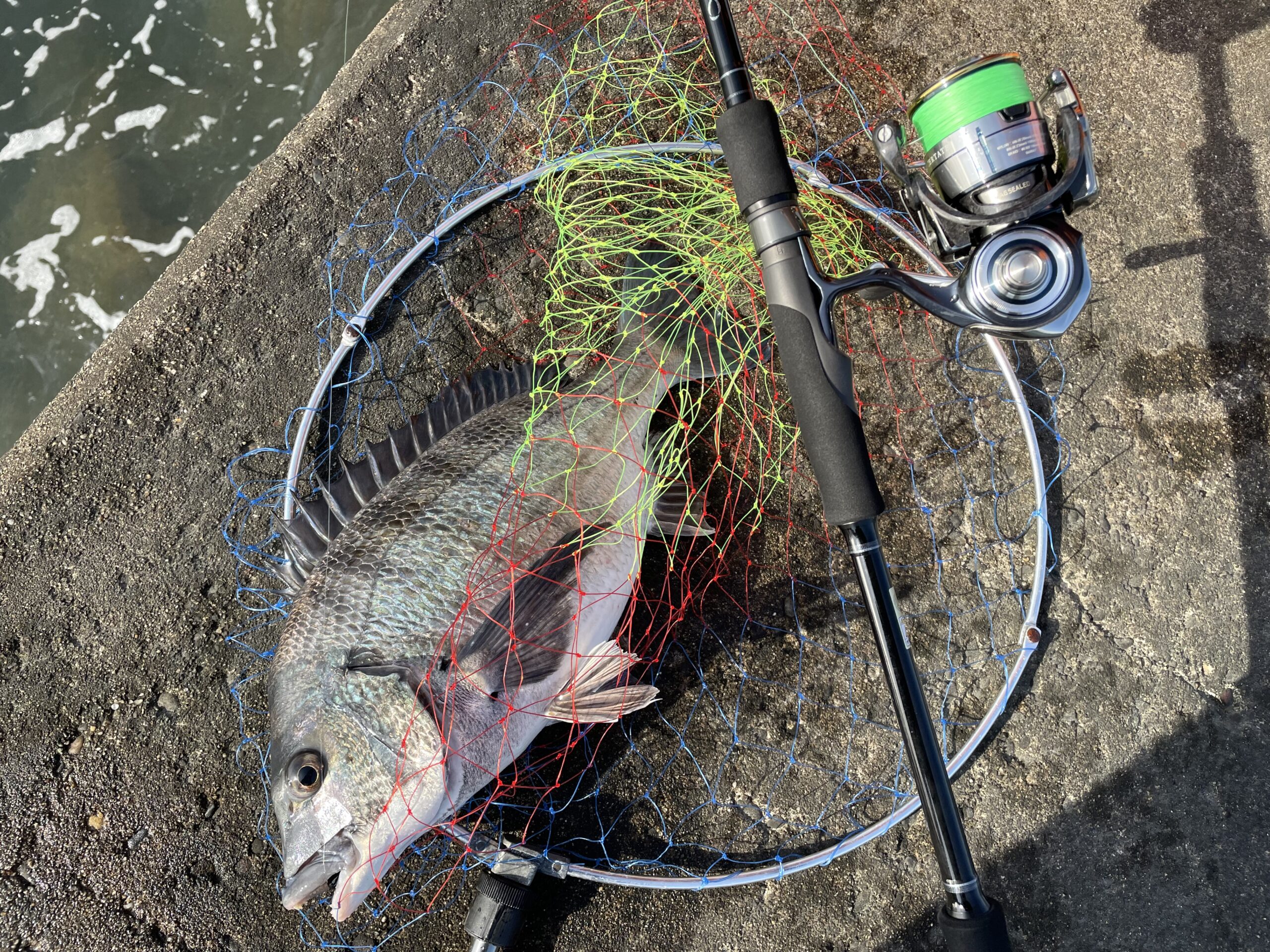 東京湾】チニング Mebius 86M | YAMAGA BlanksYAMAGA Blanks