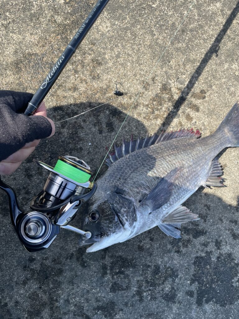 東京湾】チニング Mebius 86M | YAMAGA BlanksYAMAGA Blanks