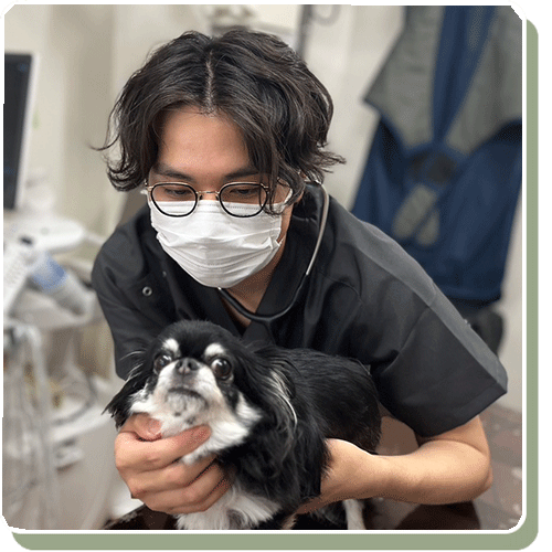 病院紹介｜山の内どうぶつ病院