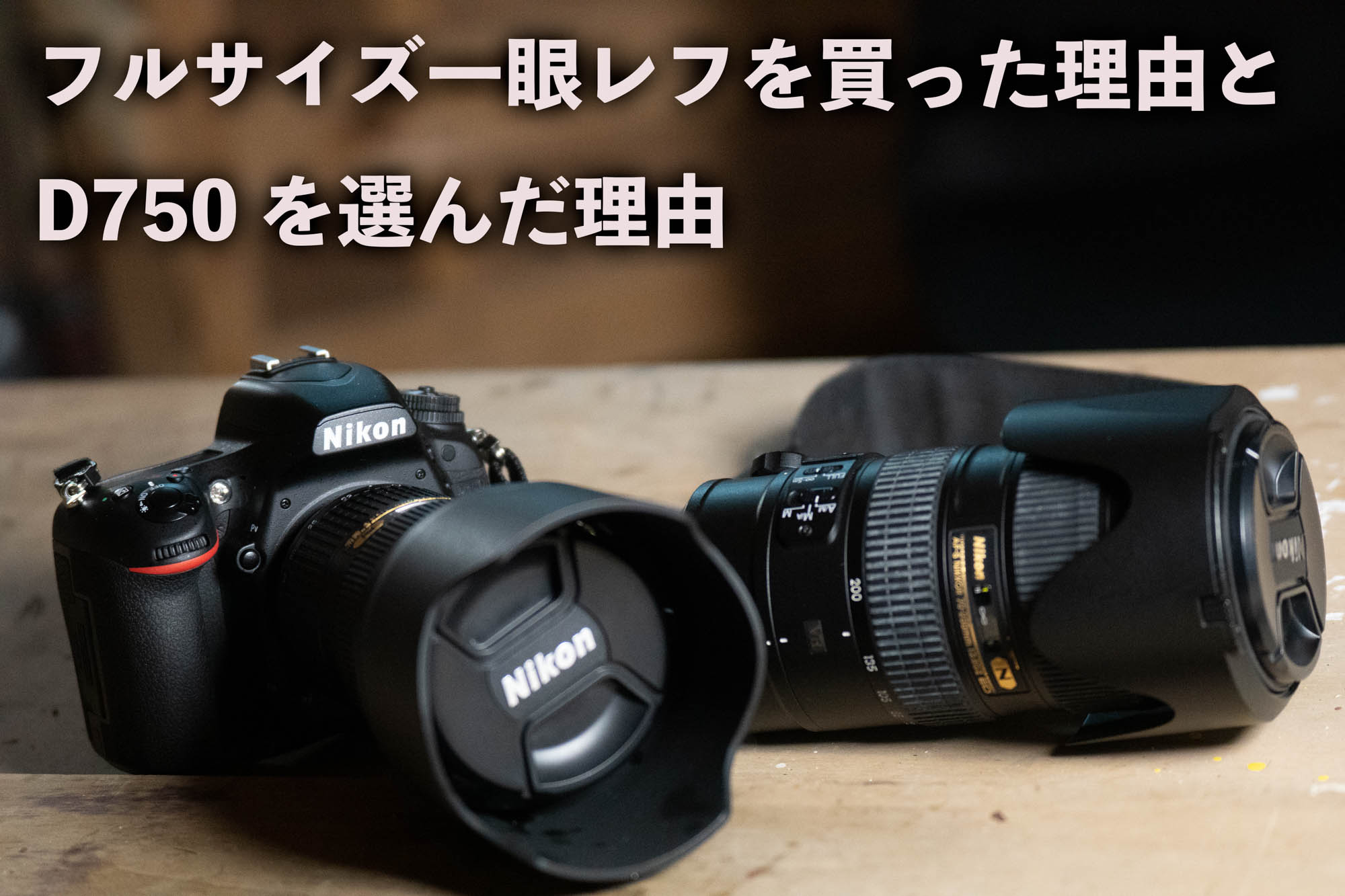 フルサイズ一眼レフを買った理由とD750を選んだ理由 | 山のクジラを獲