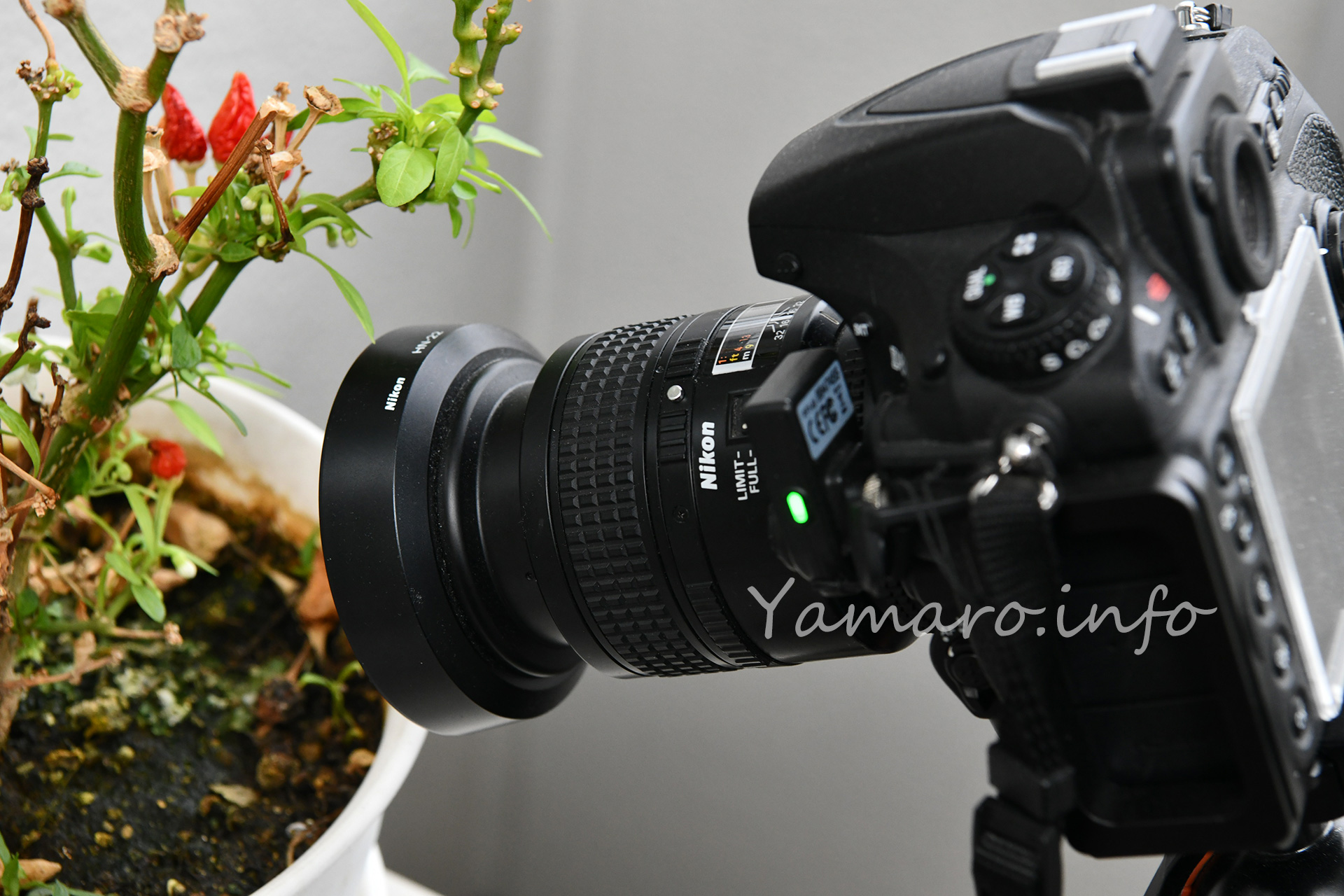 AF-S Micro NIKKOR 60mm f/2.8G EDを導入した - Blog@yamaro.info