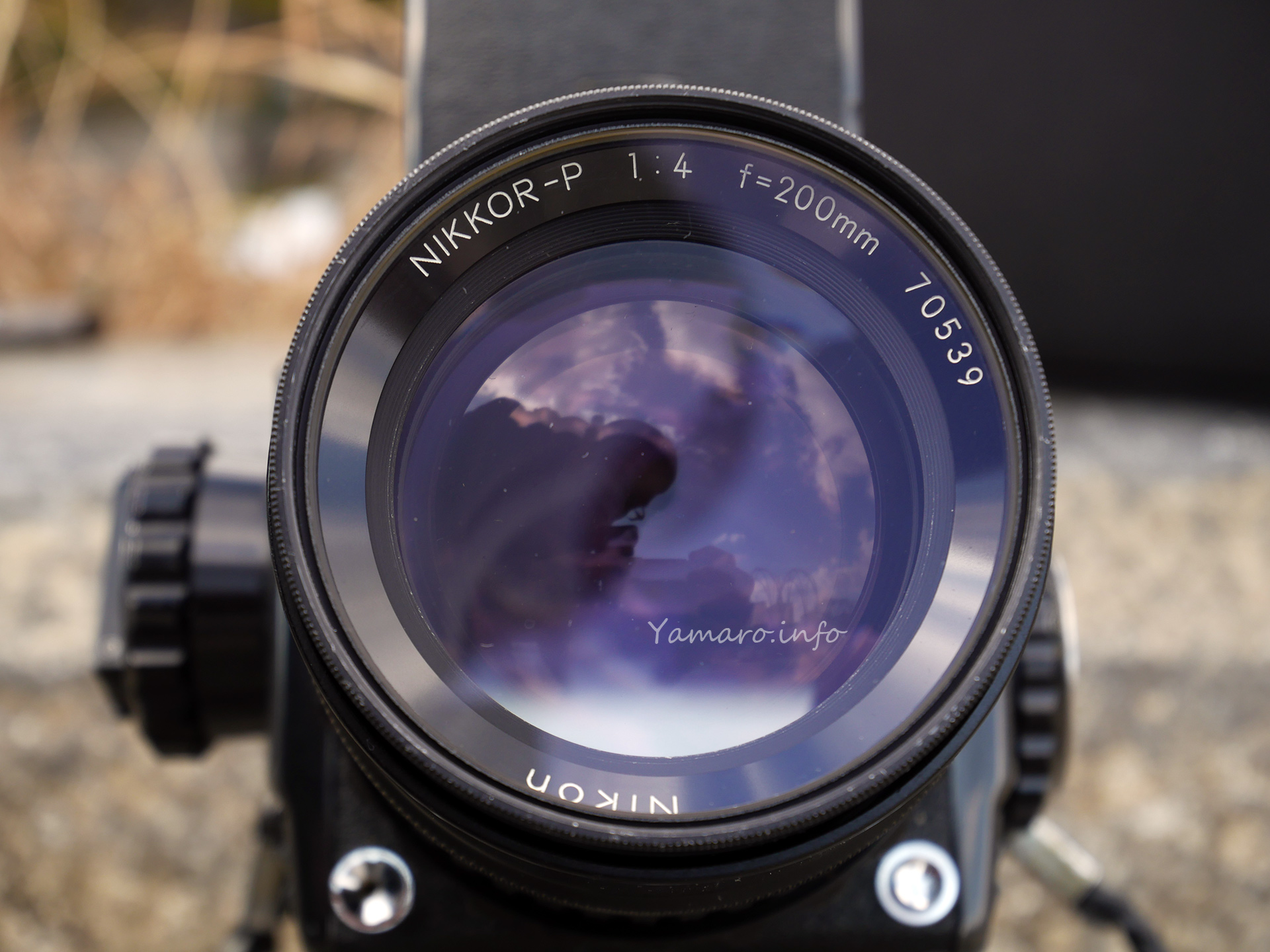 BRONICA S2用 NIKKOR-P 200mm F4 入手 - Blog@yamaro.info