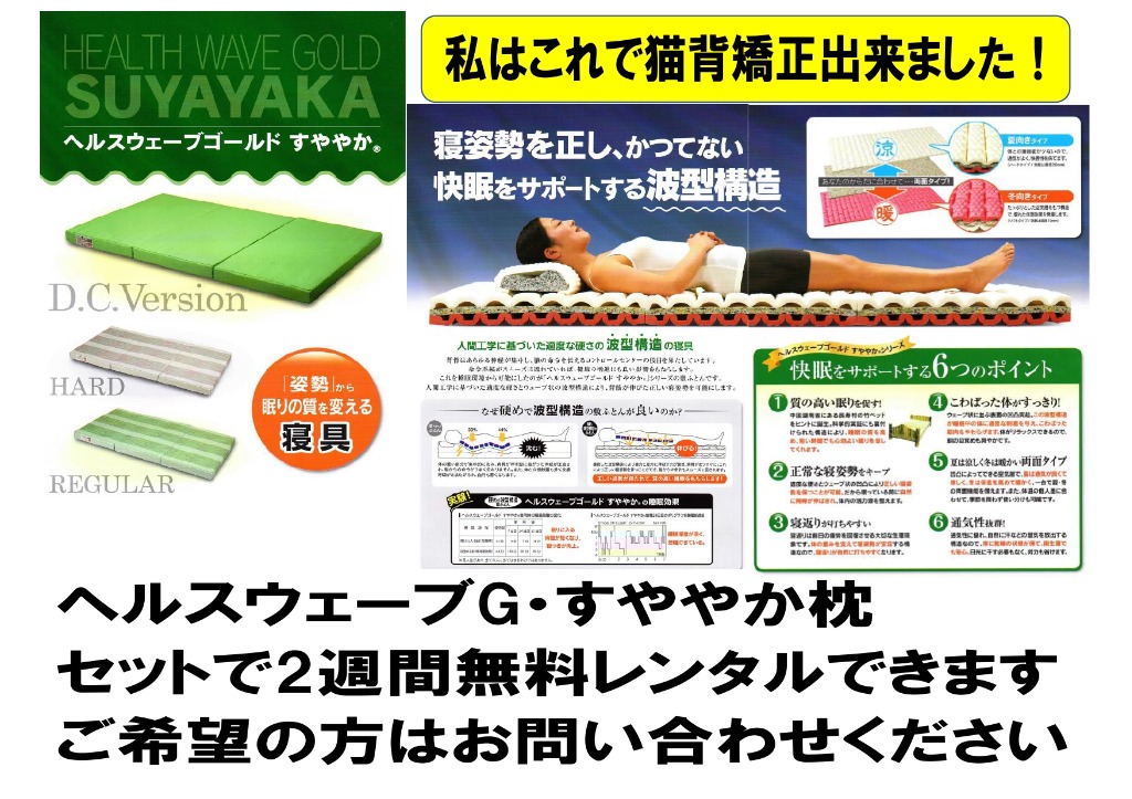 ヘルスウェーブ ゴールド すややかマットレス（枕つき）ZEN77】ヘルス