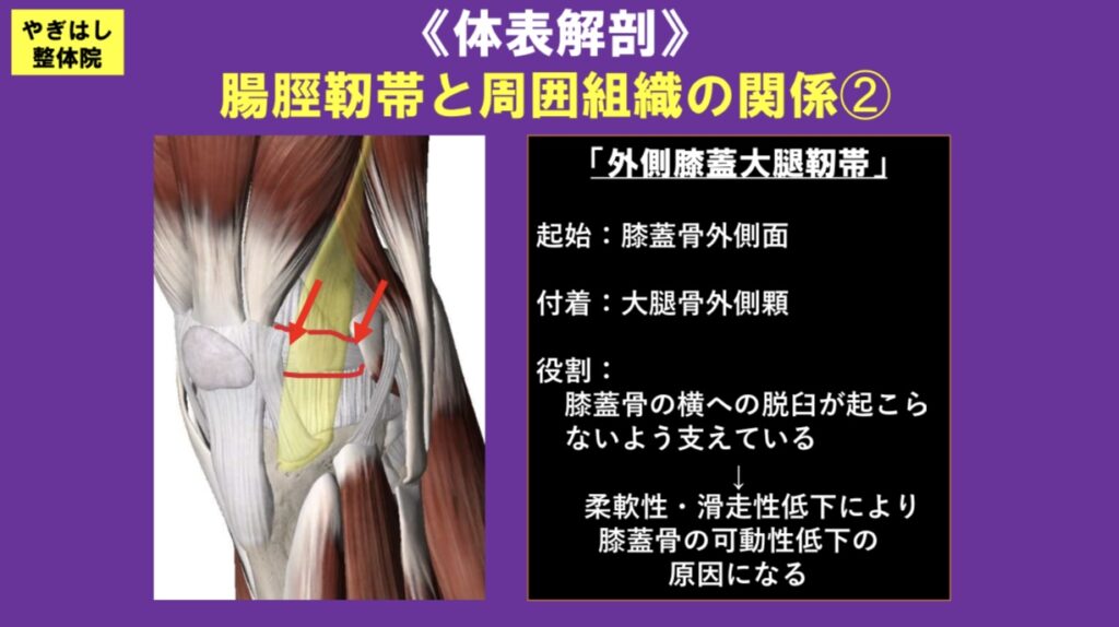 変形性膝関節症と足の柔軟性の関係 | 柏市のおすすめNo.1やぎはし整体