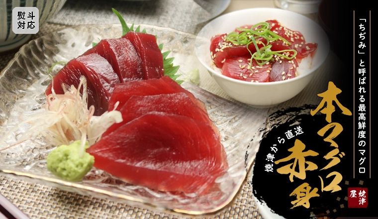 本まぐろ(マグロ、鮪)赤身6人前(600g) | 焼津屋