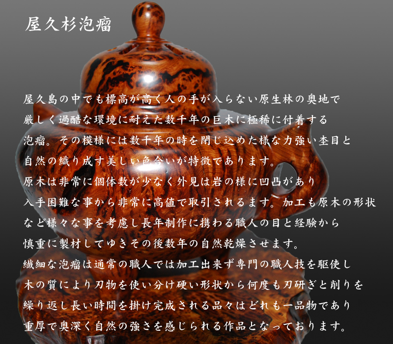 川下幸徳 世界遺産 屋久杉 泡瘤 器 小鉢 お椀 盛鉢 天然木 無垢 在銘
