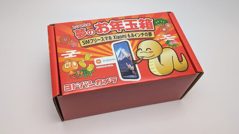 福袋】ヨドバシカメラから「2025年 お年玉箱」が届いたから開封！中身