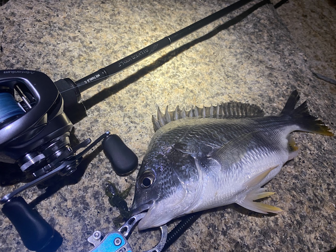 シルバーウルフ MX 76MLB-S ロッドケース付き ダイワ シルバーウルフ