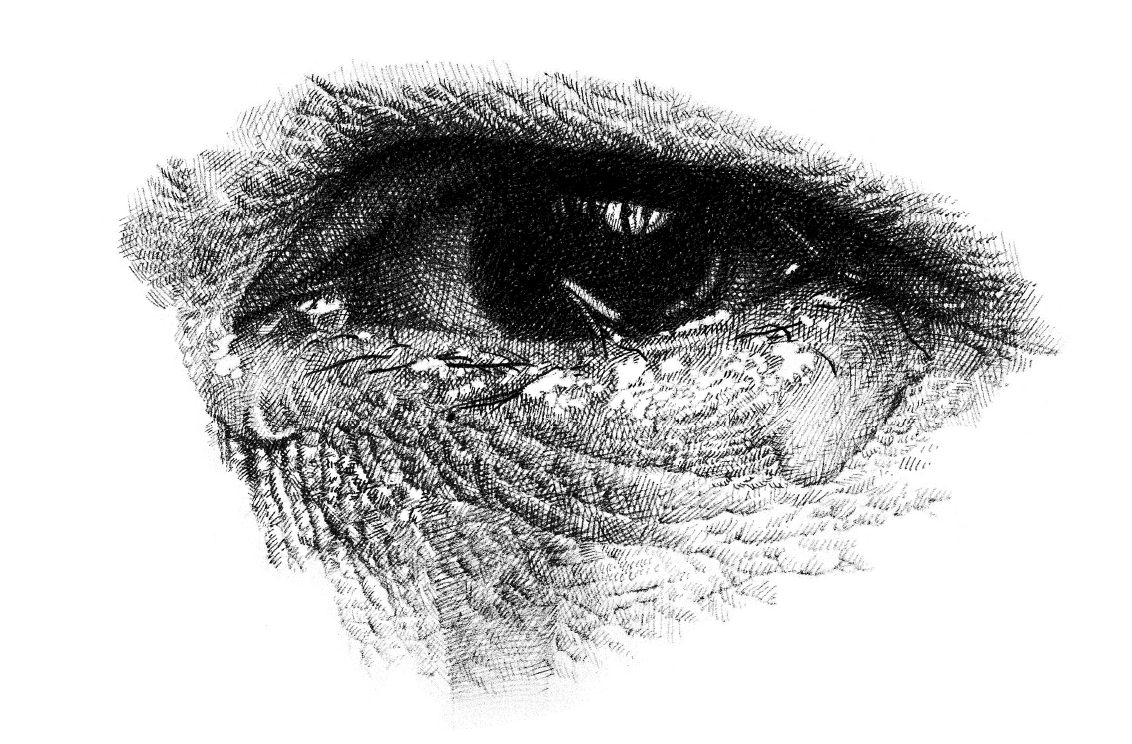 野田弘志-真理のリアリズム｜山口県立美術館