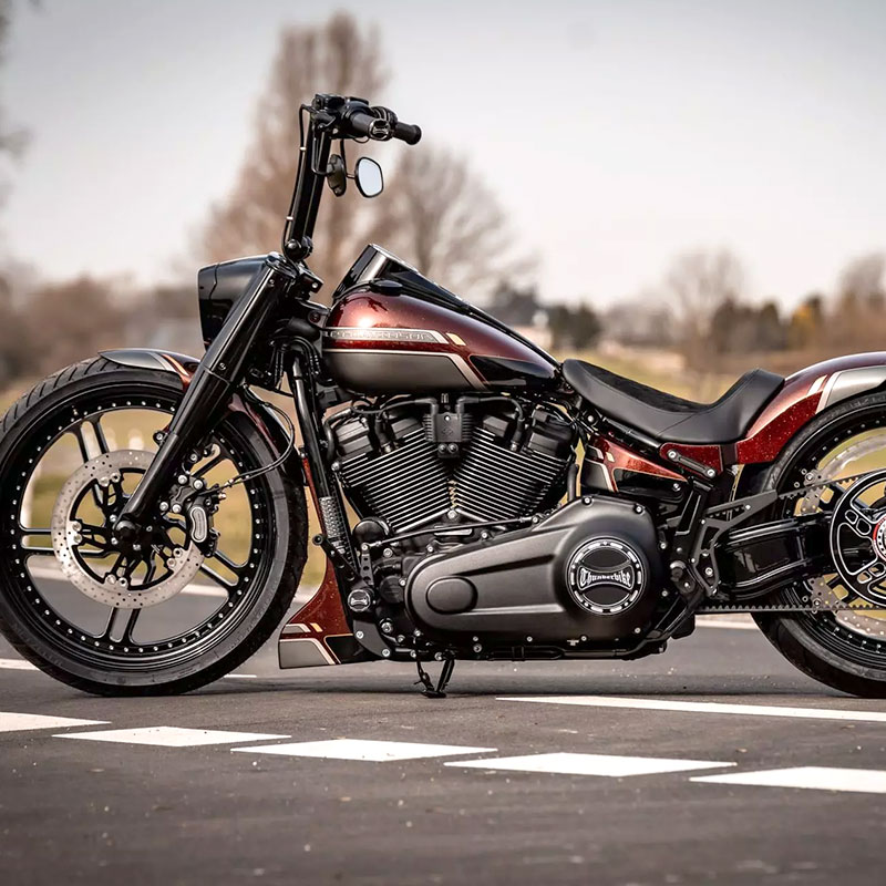 サンダーバイク□ ダービーカバー トルク ロゴあり (バイカラー) 【19