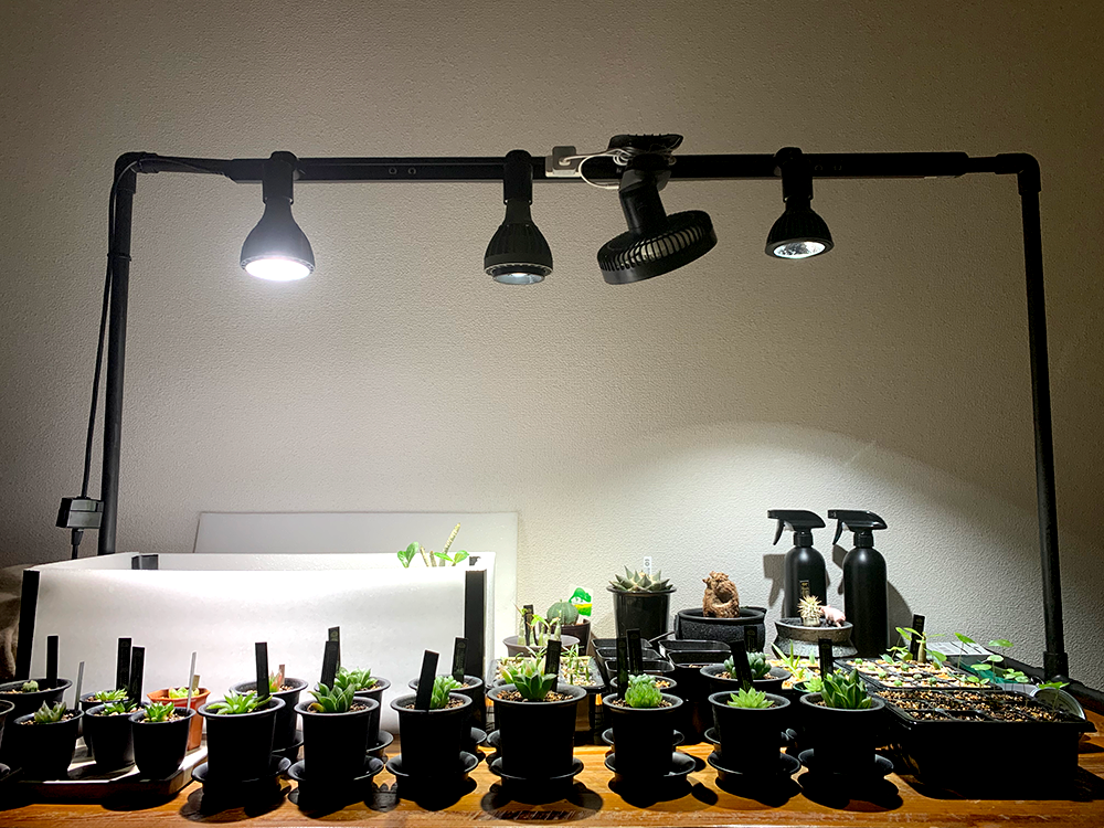 DIYで植物棚にLEDライトを設置