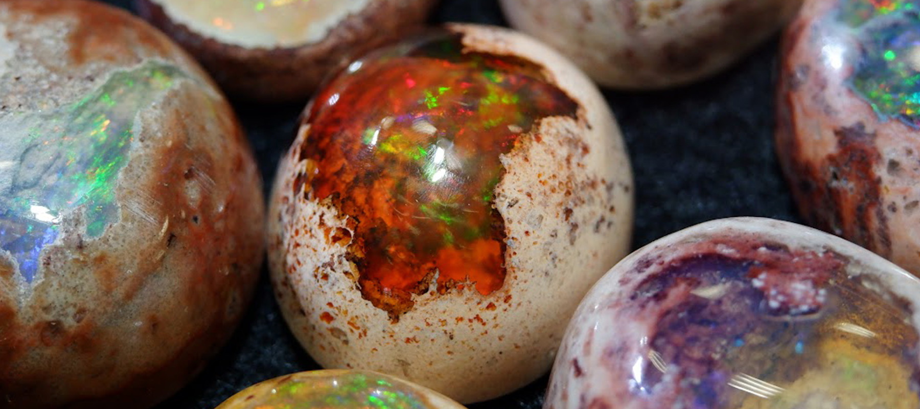 シェルオパール」 | 洋灯舎