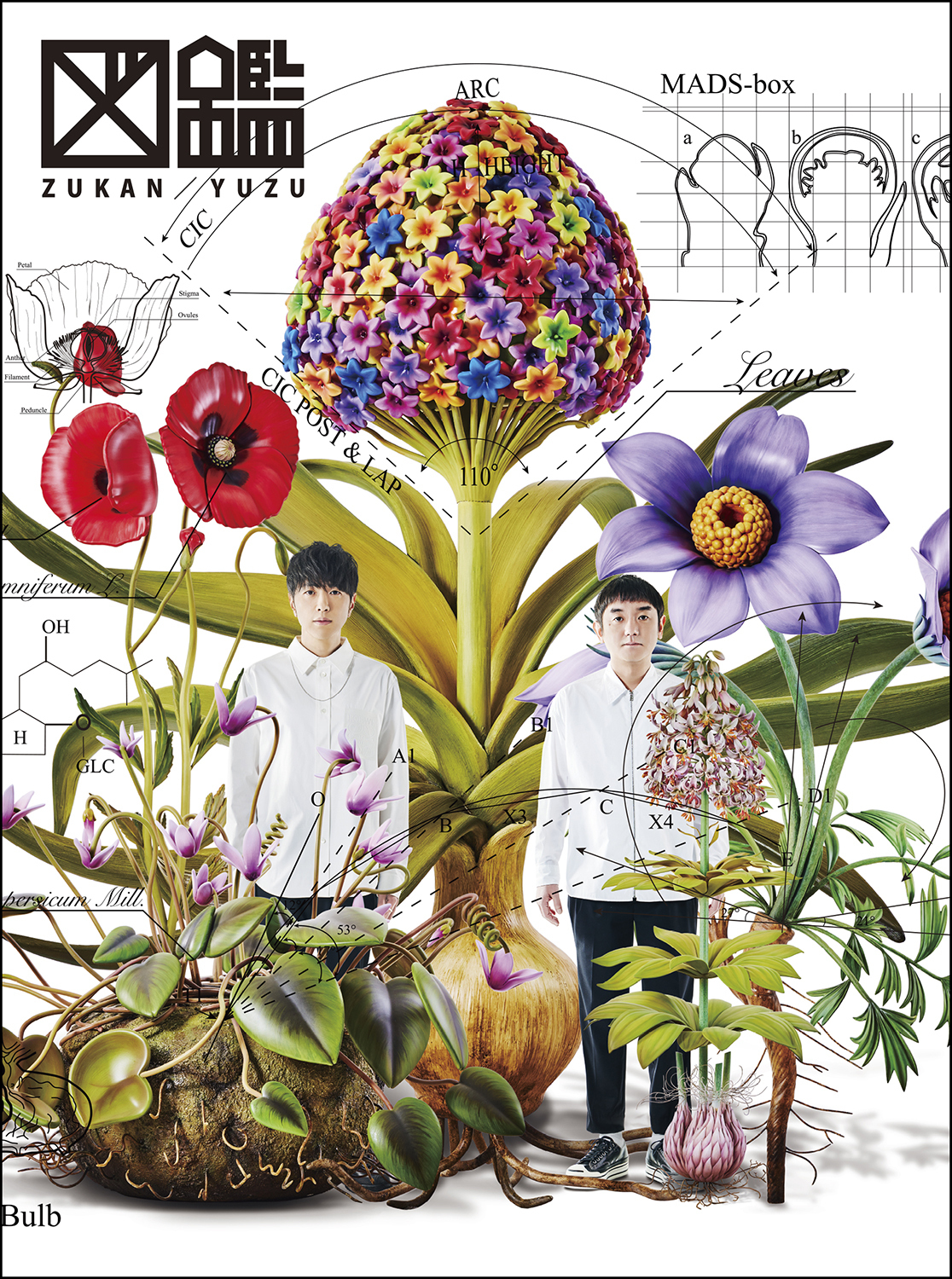 NEW ALBUM YUZU図鑑 | ゆずオフィシャルサイト