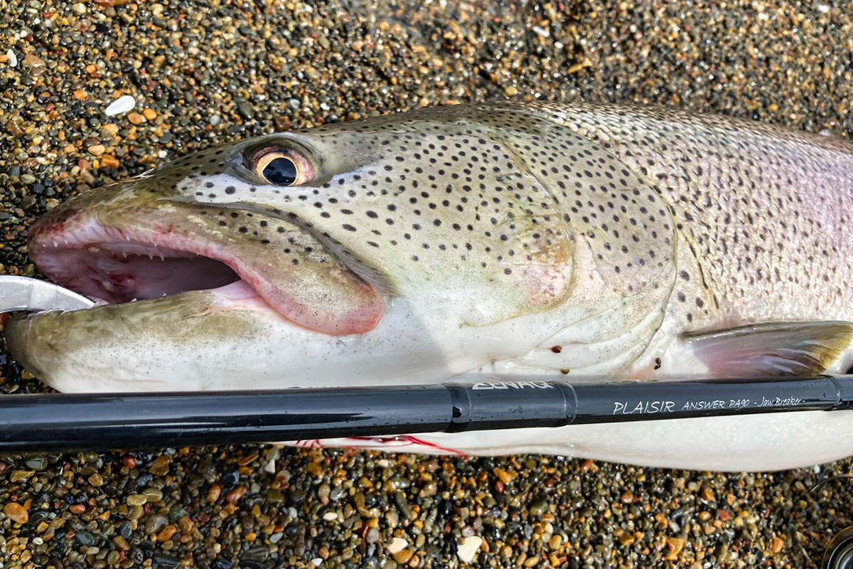 ゼナックプレジールアンサーPA90 -JawBreaker-