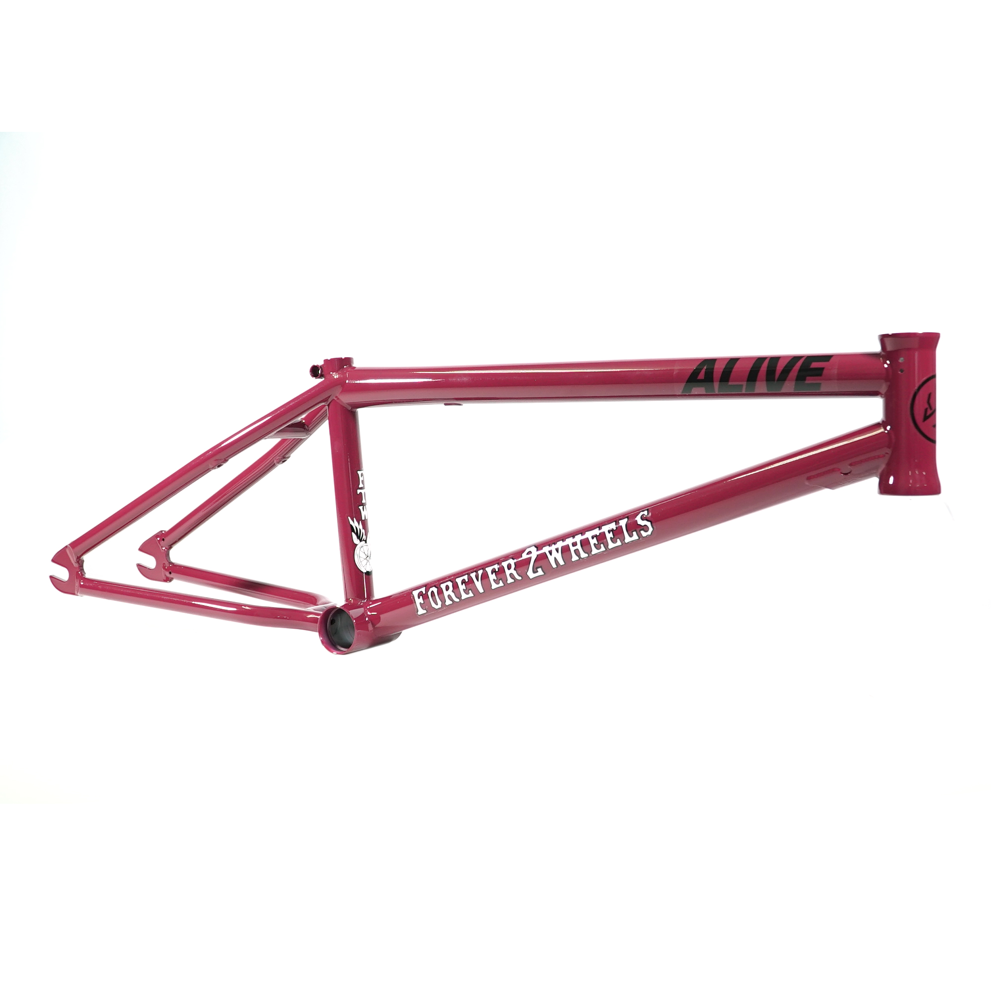 FTW FRAME - ALIVE INDUSTRY - BMX専門のZEN DISTRIBUTION (輸入代理店)