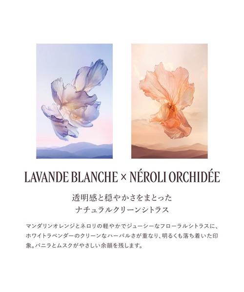 L'OCCITANE（ロクシタン） コスメセット コフレ ラヴァンドブランシュ