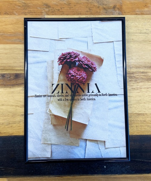 ポスター B3サイズ(約36.4×51.5cm) : ZOZOTOWN Yahoo!店 - 通販