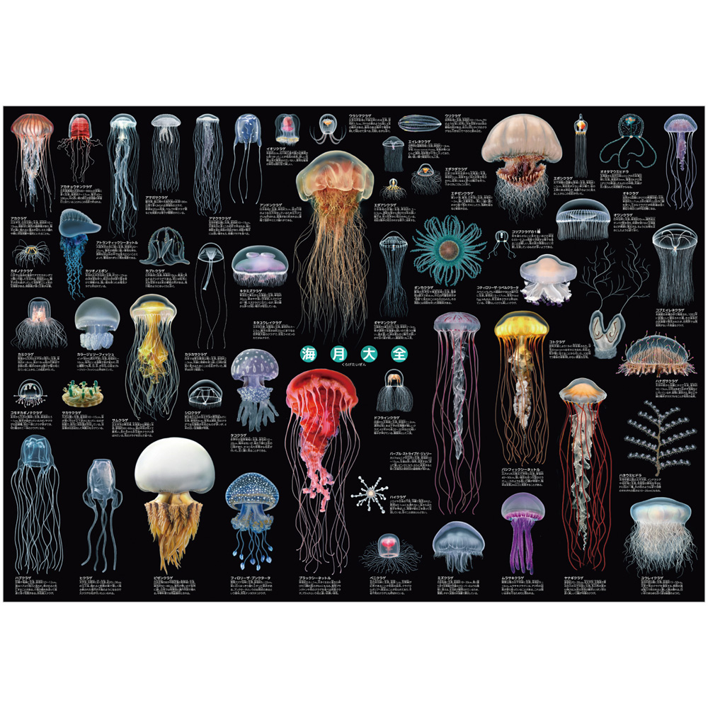 海月大全 A1ポスター – 株式会社ザ・アクセス-TheACCESS-