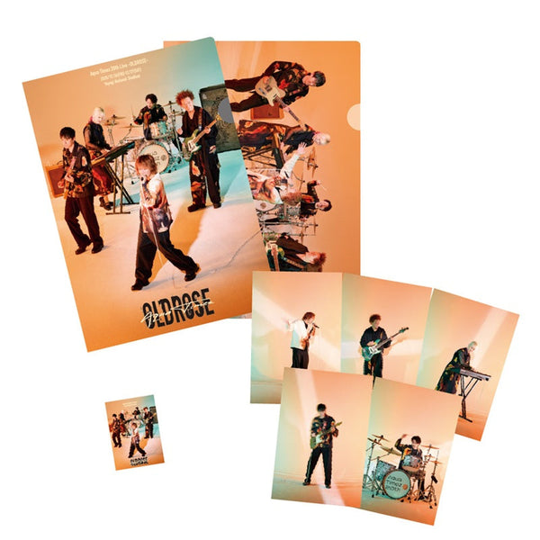 美品 ルナパパDVDパンフレット、フライヤー、ポストカードセット