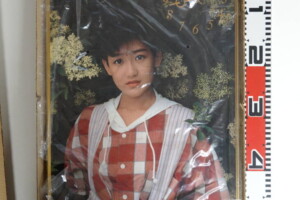 岡田有希子グリコカフェゼリー下敷き | 古本買取店エーブック