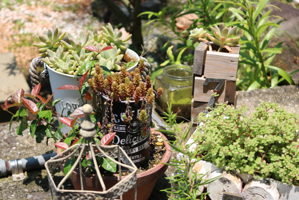 NEW OPEN アトリエ S.H