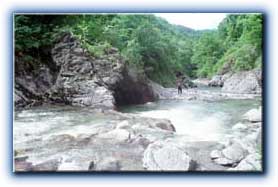 想い出の源流紀行7 初めての八久和川