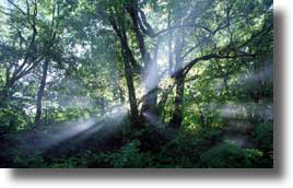 想い出の源流紀行7 初めての八久和川