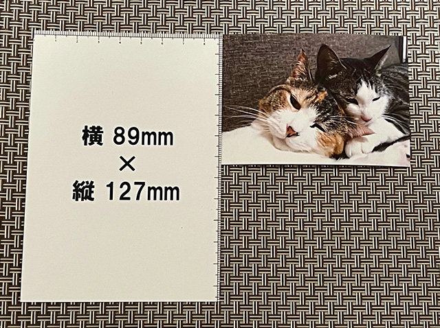 L判・Lサイズの写真プリントの大きさはどのくらい？