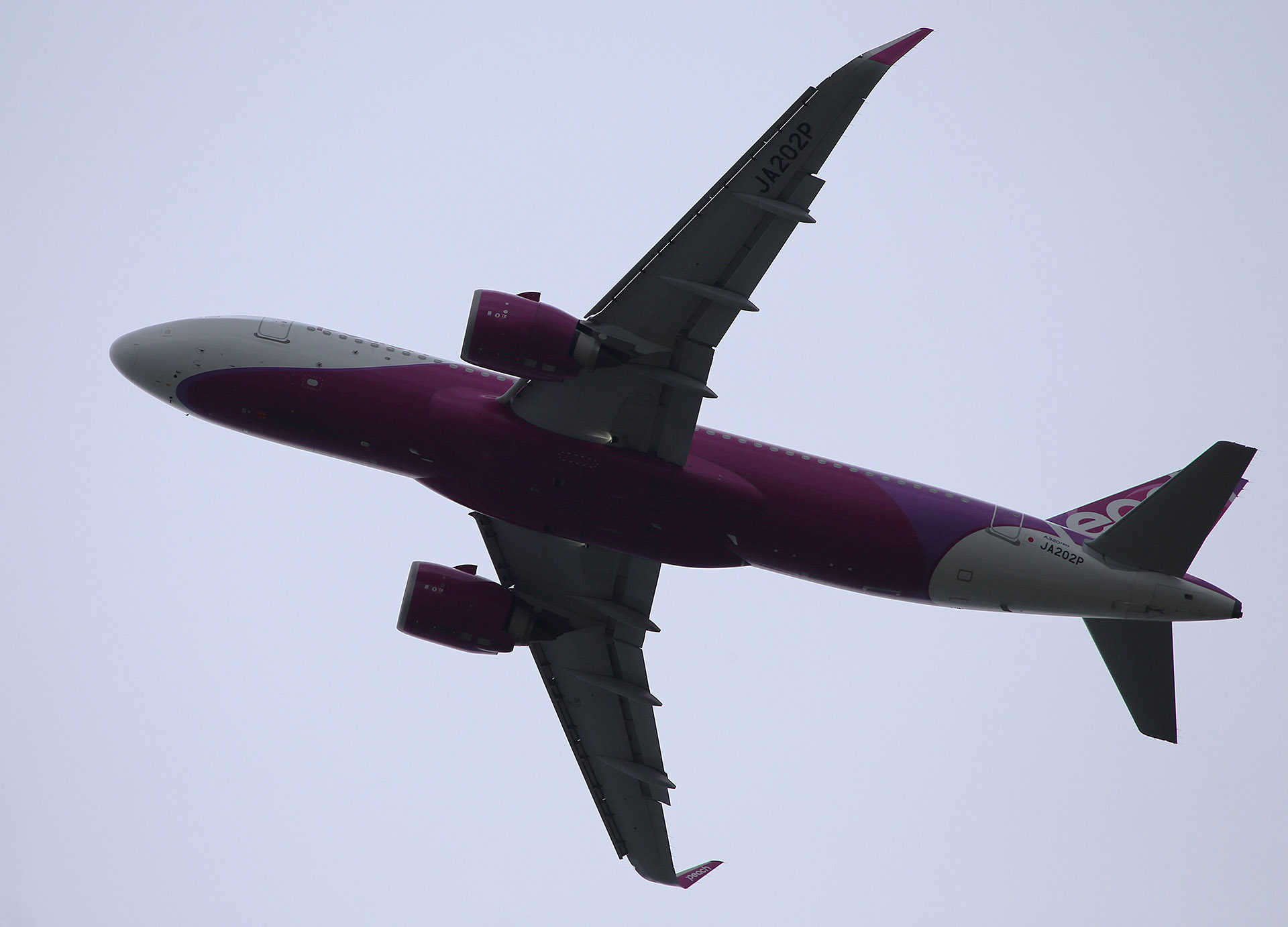 ピーチ・アビエーション Peach・Aviation(MM/APJ) 世界の旅客機図鑑