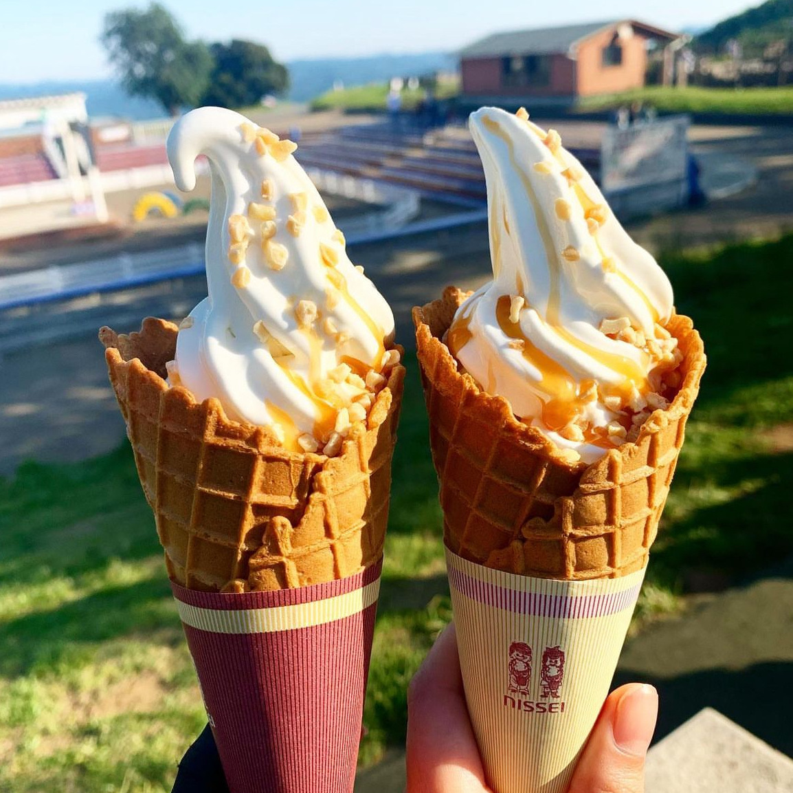 千葉県/富津市】千葉で美味しいソフトクリームを食べたくなったら