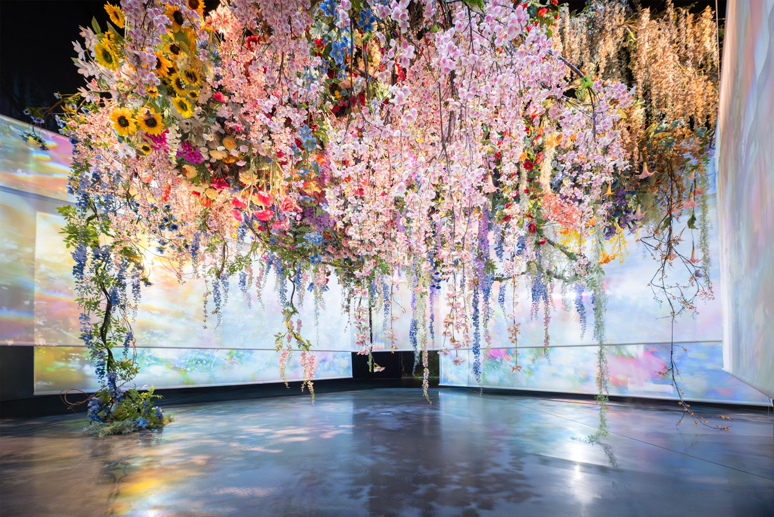 アクリル画 海と花が見える窓 浜ダイコンの花が咲く浜辺 アクリル