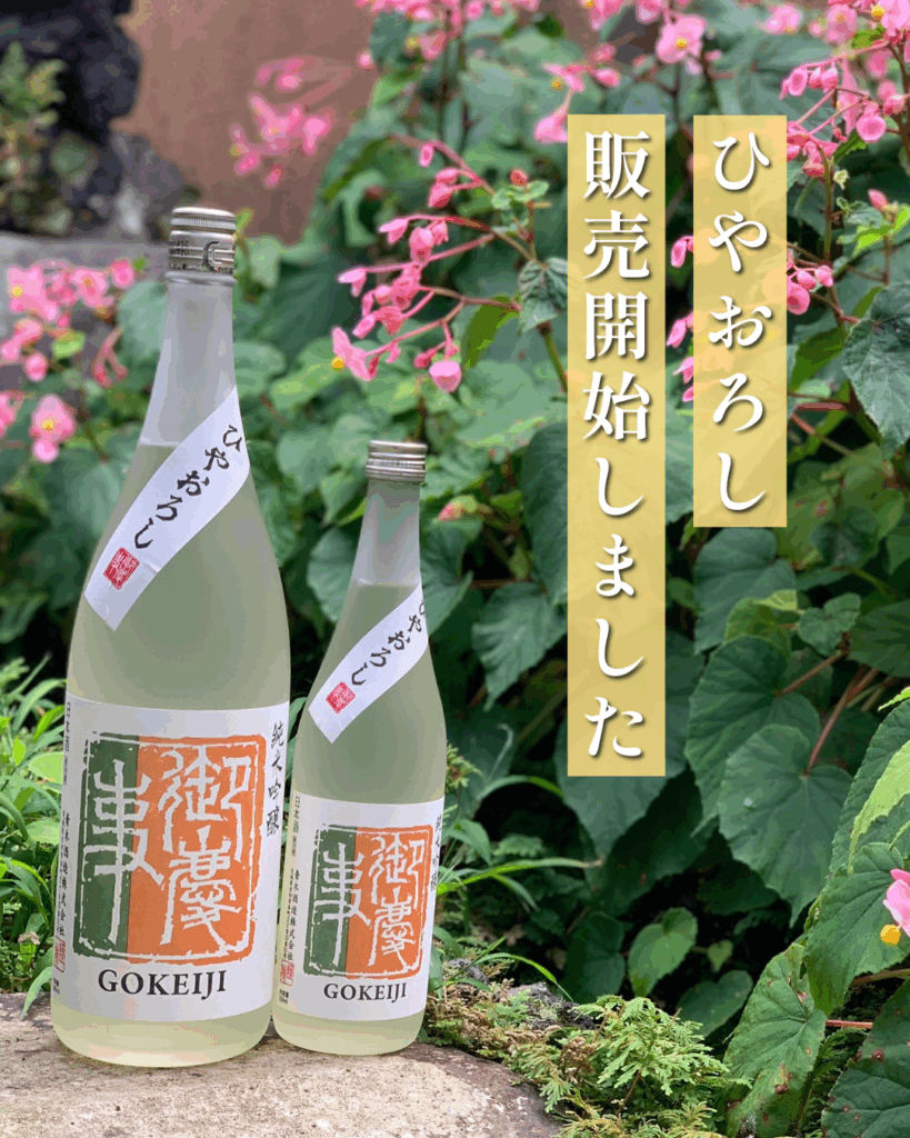 季節限定「ひやおろし」発売開始しました - 青木酒造“御慶事”-伝統の