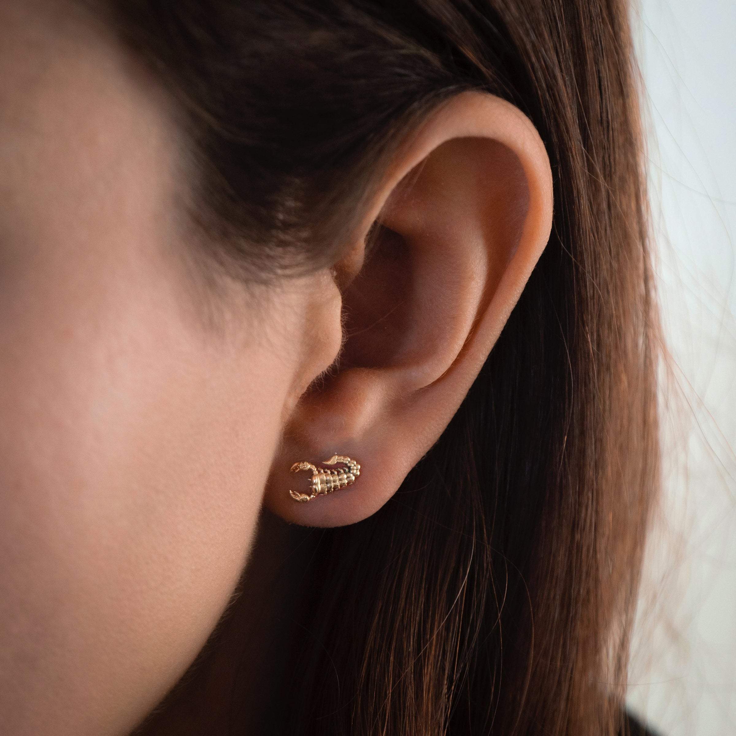 18K Yellow Gold Tiny Scorpion Studs | Alex Streeter