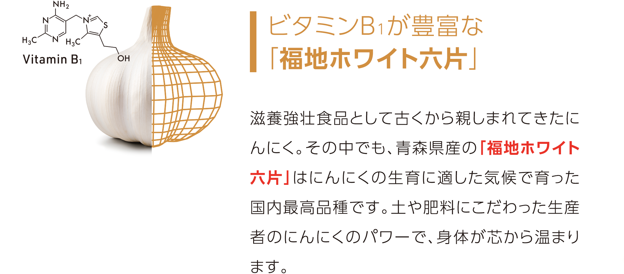 疲労回復、冷え症の薬用入浴剤はにんにくVB1入浴剤｜医薬品・医薬部外