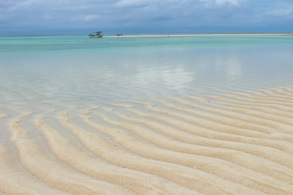 YORON MEDIA | 鹿児島県与論島についてのオウンドメディア