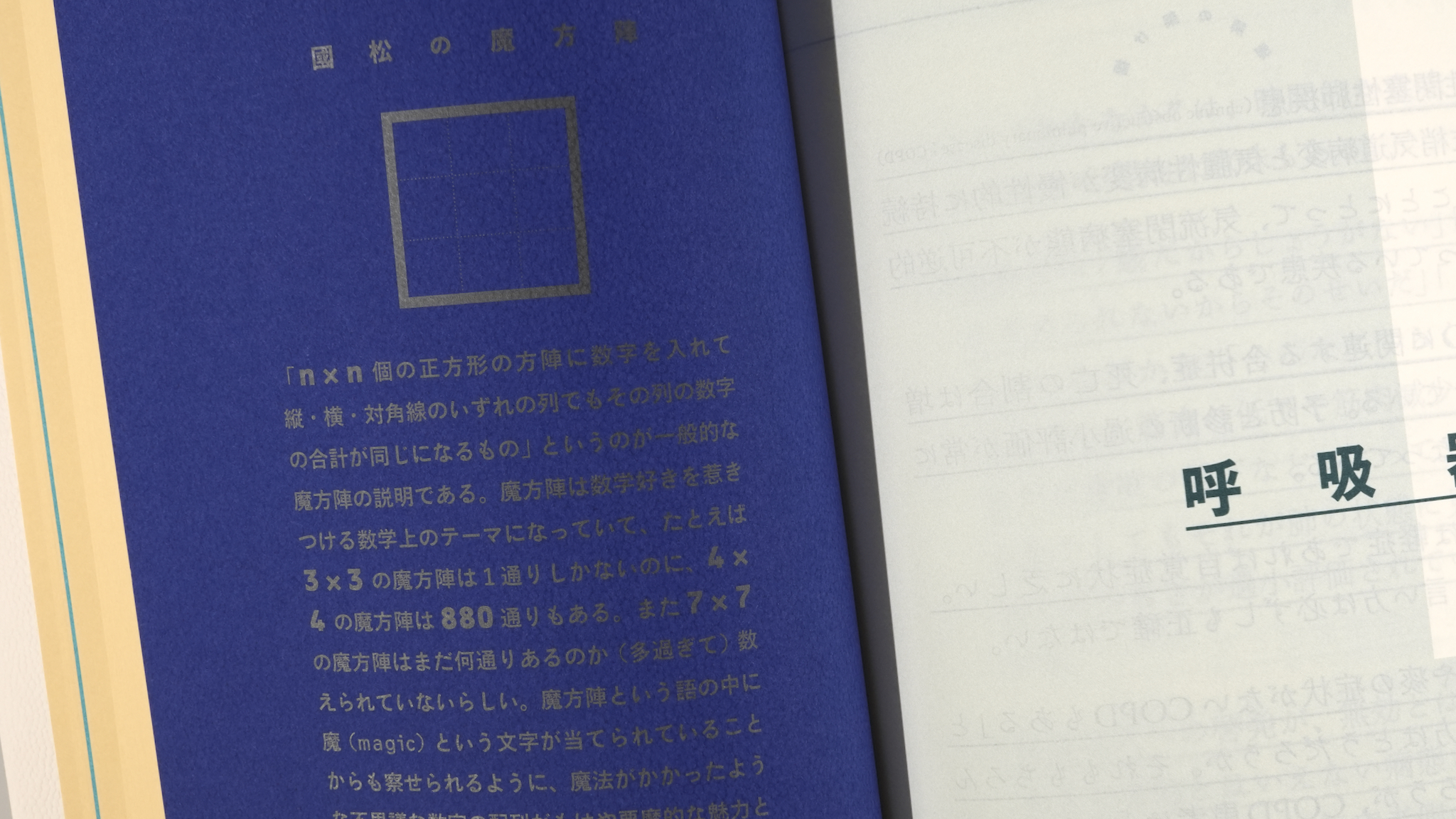 國松の内科学 / Anatomy 今日も明日も/國松の内科学